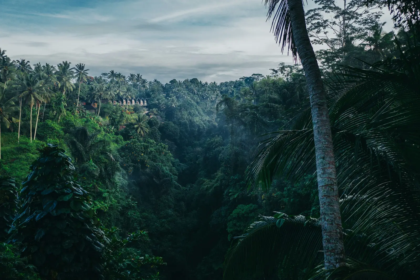 Photoshoot location: Ubud, Gianyar, Bali